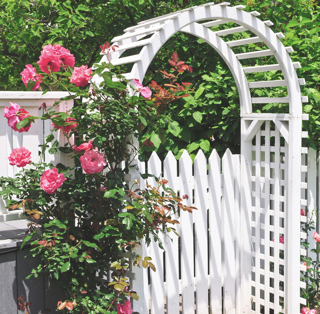 Outdoor Styling and Garden Decor Icon