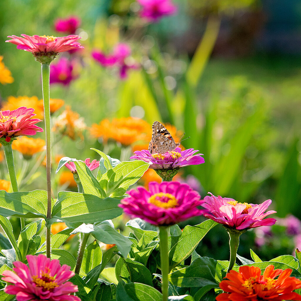 Seasonal Gardening Icon